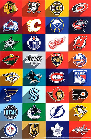 NHL: A Look into the Current Season and Future Prospects