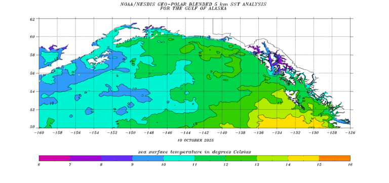 The Importance of NOAA Weather Forecasts for Everyday Life