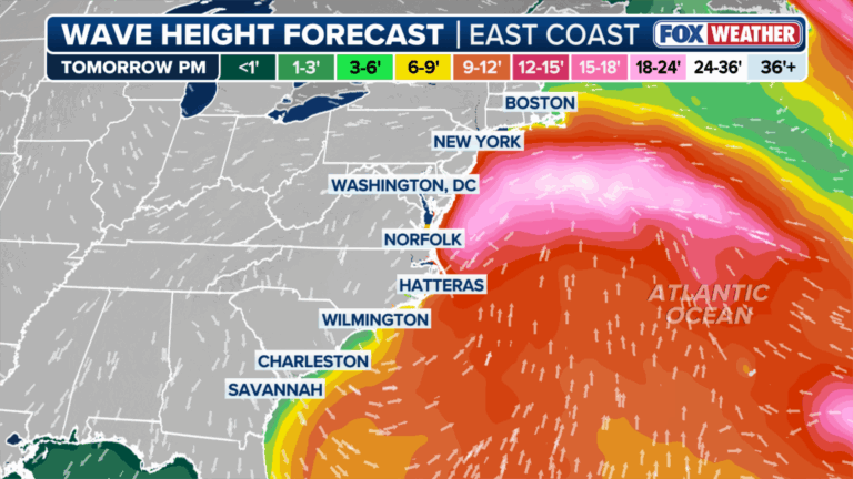 Understanding the Nor’easter Weather Forecast for the Northeastern U.S.