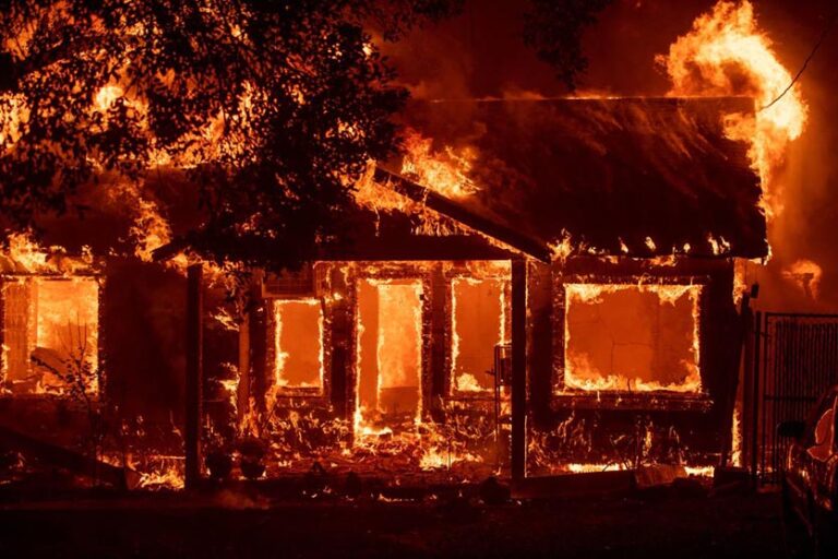 Understanding the Impact of the Paradise Fire