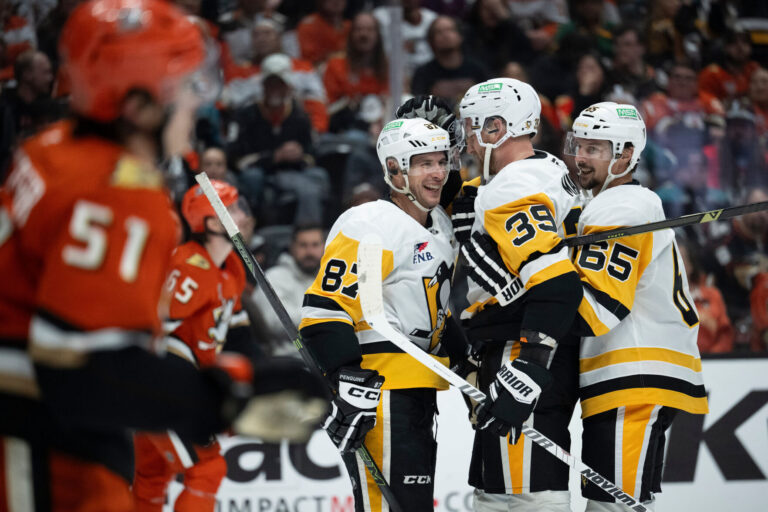 Penguins vs Ducks: A Comparative Look at Two Unique Birds