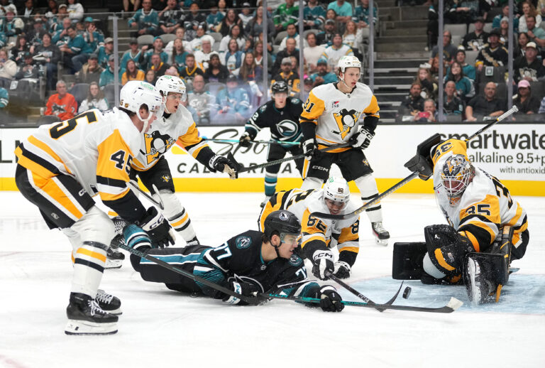 Penguins vs Wild: A Look at Their Survival Strategies
