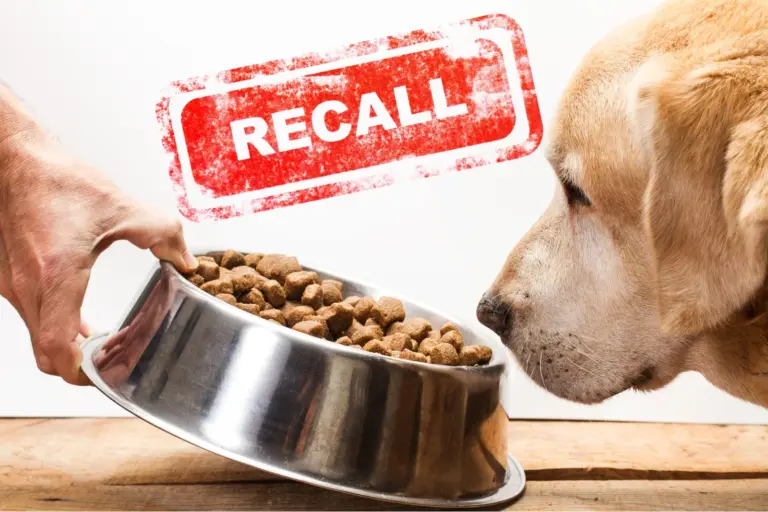 Recent Pet Food Salmonella Recall: What You Need to Know