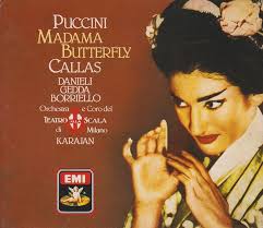 Exploring the Life and Habitat of the Puccini Butterfly
