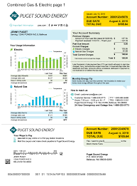 Current Initiatives of Puget Sound Energy and Their Impact