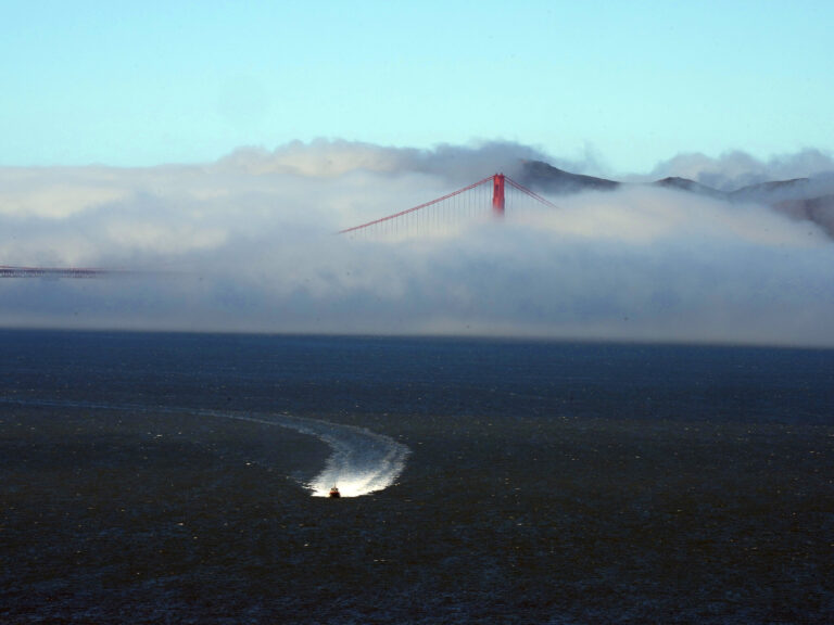 Understanding San Francisco Weather: Current Trends and Insights