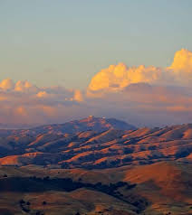 Current San Jose Weather: What You Need to Know