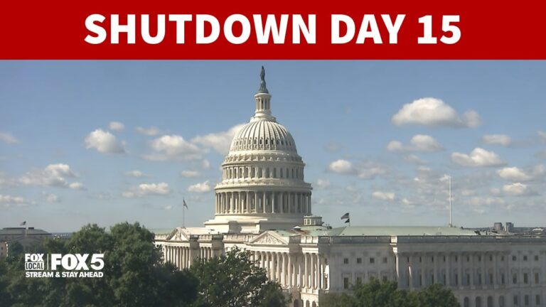Senate Vote Triggers Critical Discussion on Government Shutdown