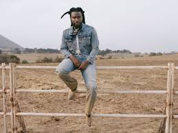 Understanding Shaboozey: A New Cultural Trend