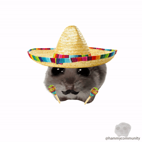 Understanding the Sombrero Meme and Its Viral Impact