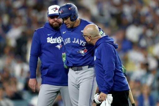 All You Need to Know About Springer Injury