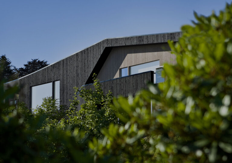 The Rise of Superwood: A Game Changer in Sustainable Materials