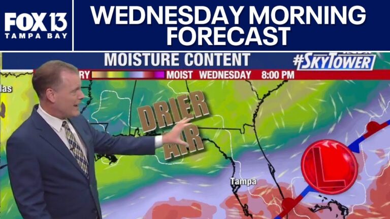 Current and Upcoming Tampa Weather: What to Expect