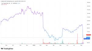 TTD Stock: Recent Performance and Future Outlook