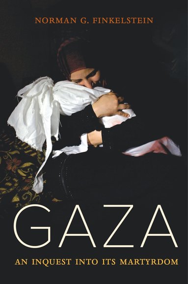 Norman Finkelstein: A Critical Voice in the Israel-Palestine Conflict