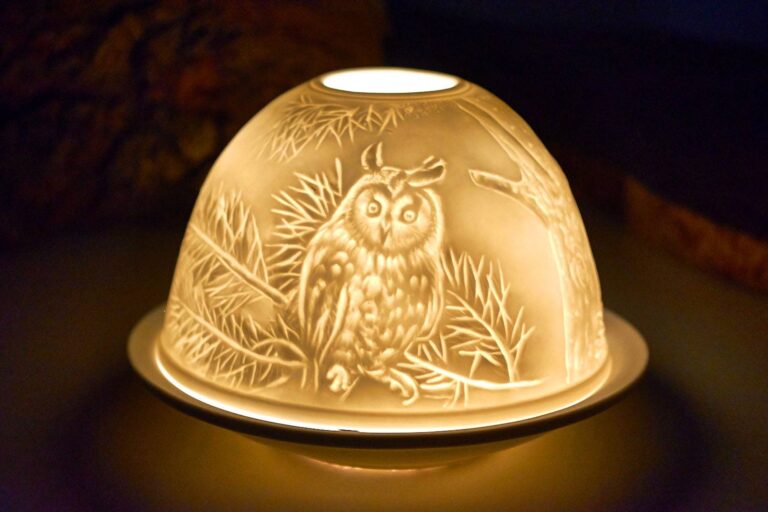 The Fascinating World of Owls: Nature’s Nocturnal Hunters