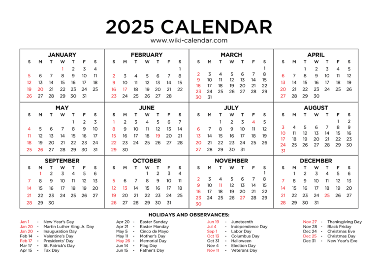 Highlights from Year in Search 2025