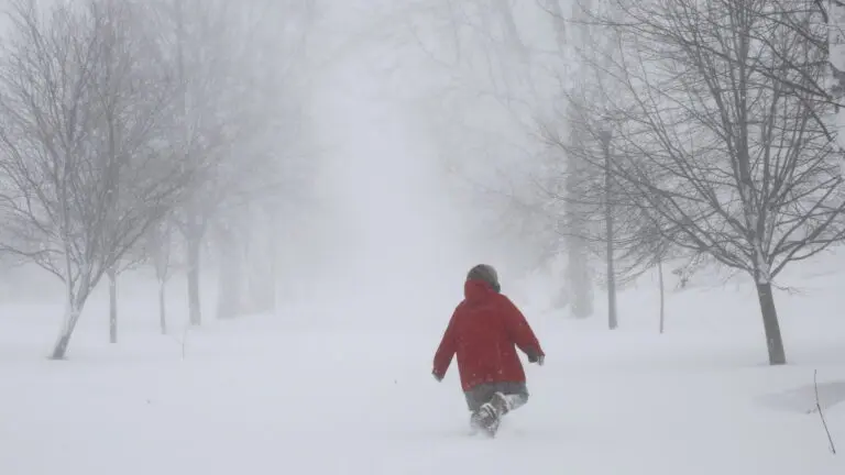 Alerta por Tormenta de Invierno: Lo Que Necesitas Saber