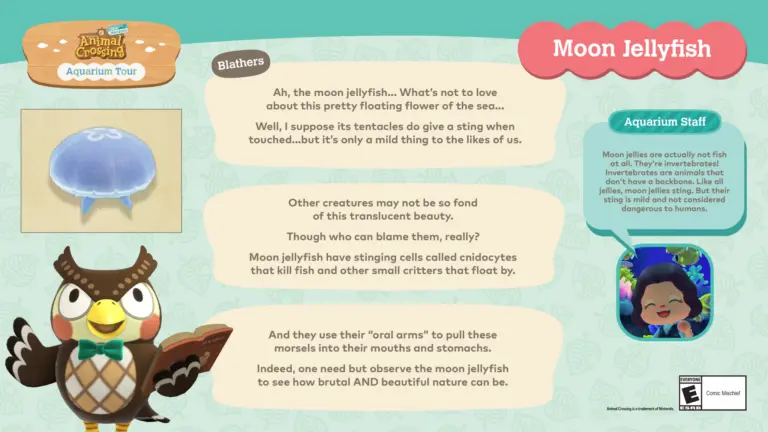 Discover the Animal Crossing Aquarium Tour in the US