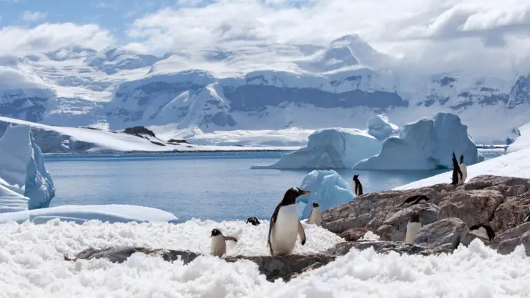 Understanding Antarctica Weather: Current Trends and Impact