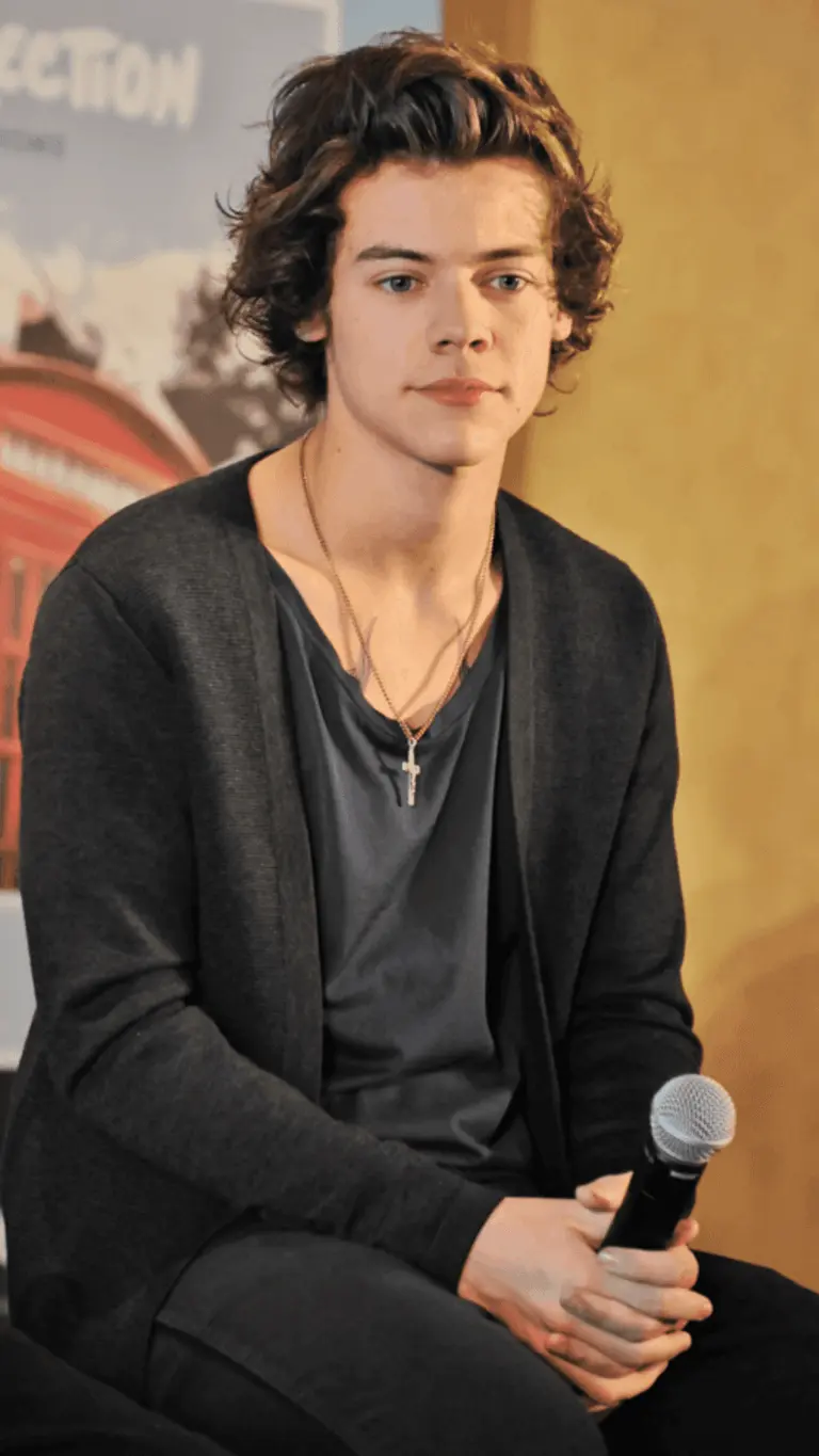 Aperture: Understanding Harry Styles’ Artistic Vision