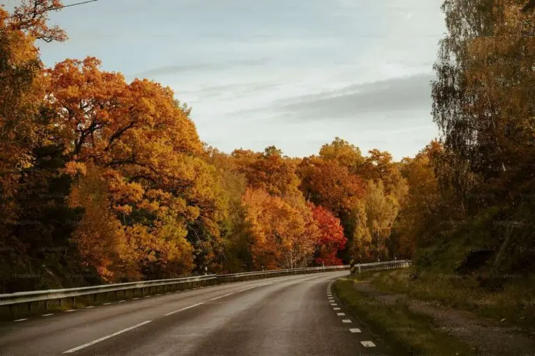 Examining Road Safety: Are the Roads Safe to Drive On?