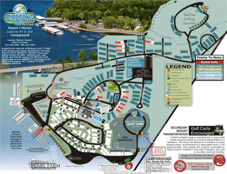 Discovering Birds Song Marina: A Hidden Gem for Nature Lovers