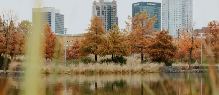 Birmingham Weather: Current Trends and Forecast