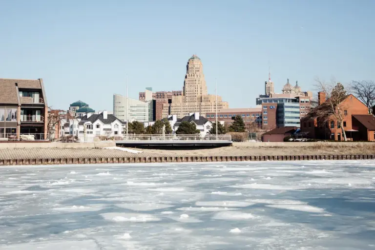 Exploring the Cultural and Ecological Significance of Buffalo