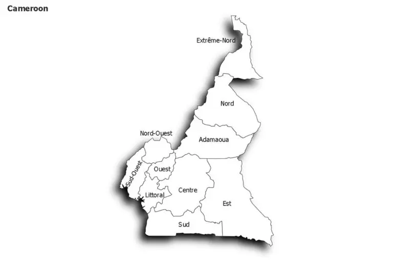 Understanding the Current Situation in Cameroon