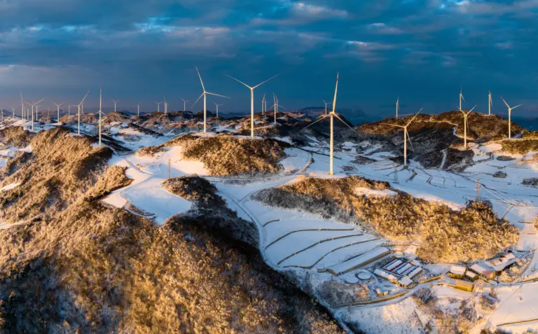 The Rise of Wind Farms in China and Their Global Impact