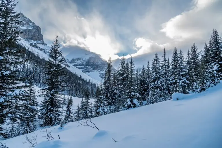 Understanding Current Snow Emergency Levels Near You