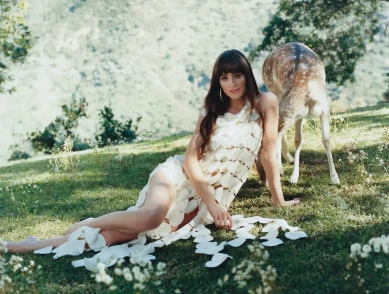 Dakota Johnson: A Rising Star in Hollywood