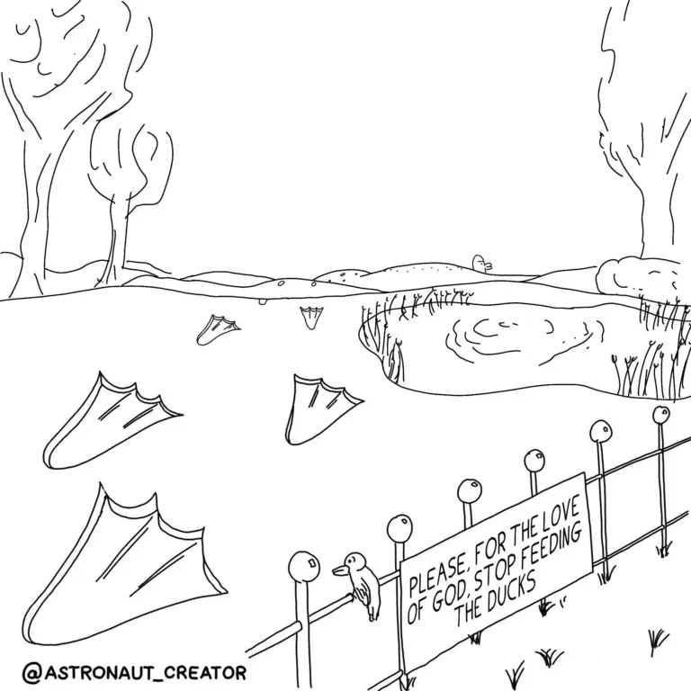 The Significance of Ducks in Our Ecosystem and Culture