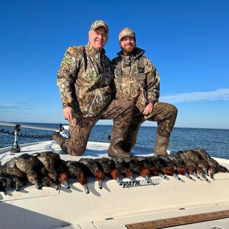 Understanding Ducks: Species, Behavior, and Latest Discoveries