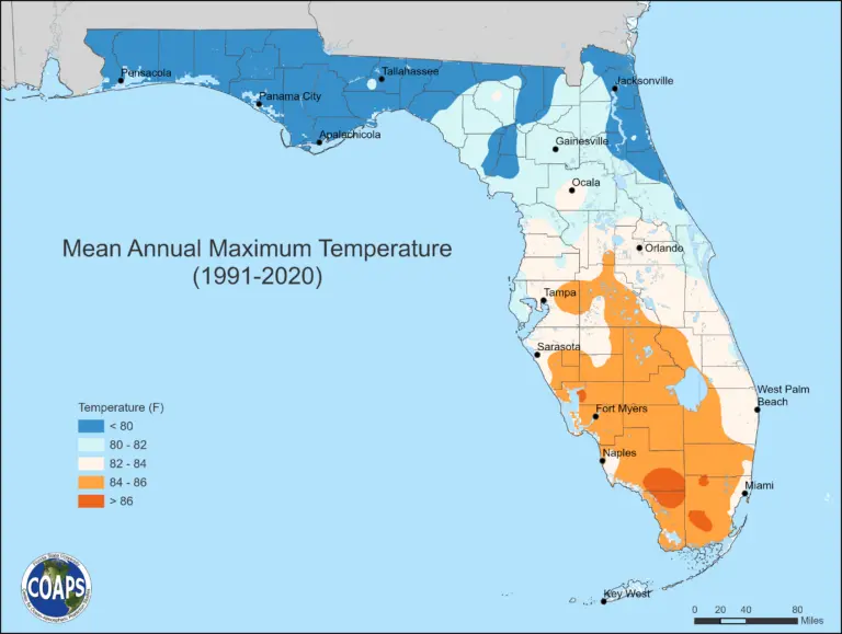 Understanding Florida Weather: Current Updates and Trends