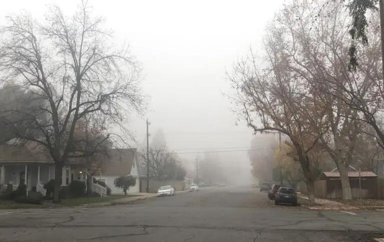 Understanding Fog Delays in Bakersfield: Recent Developments