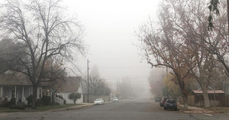 Fog Delays Impacting Bakersfield: Travel Updates and Safety Tips