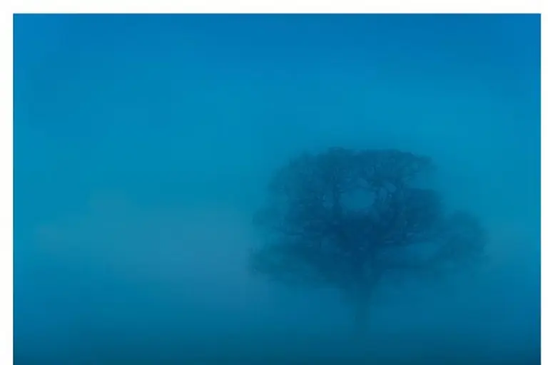 Understanding Freezing Fog Advisory and Its Effects