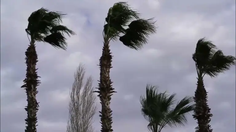 The Importance of Understanding Hail and Its Effects