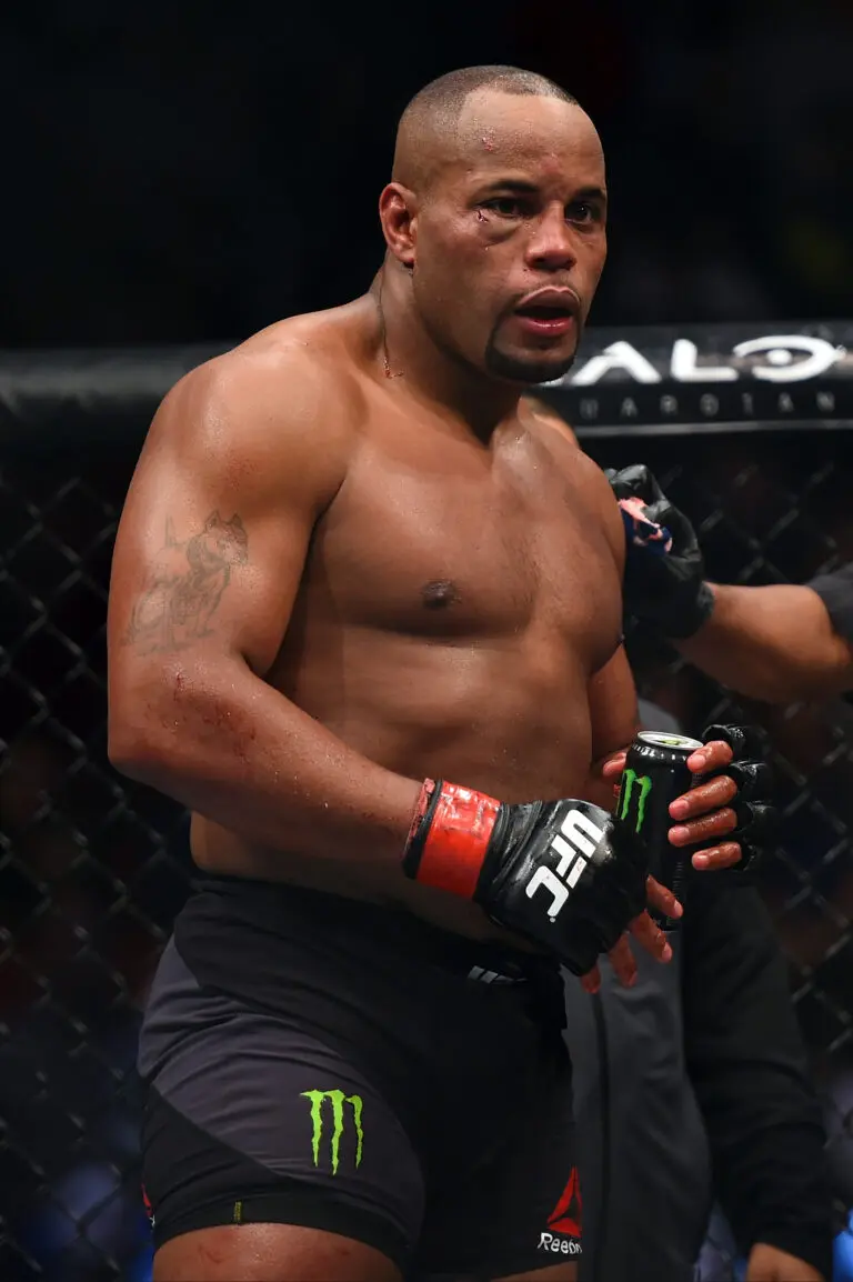 A Deep Dive into the Heavyweight UFC Division