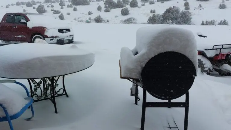 How Much Snow Did We Get? Storm Updates and Totals