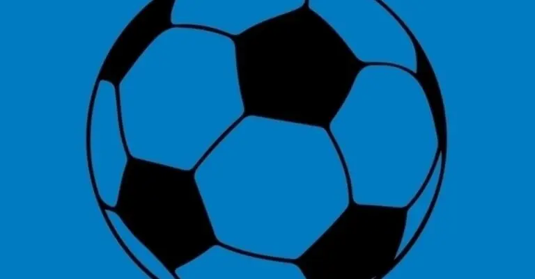 LOSC vs Strasbourg: A Closer Look at the Recent Clash