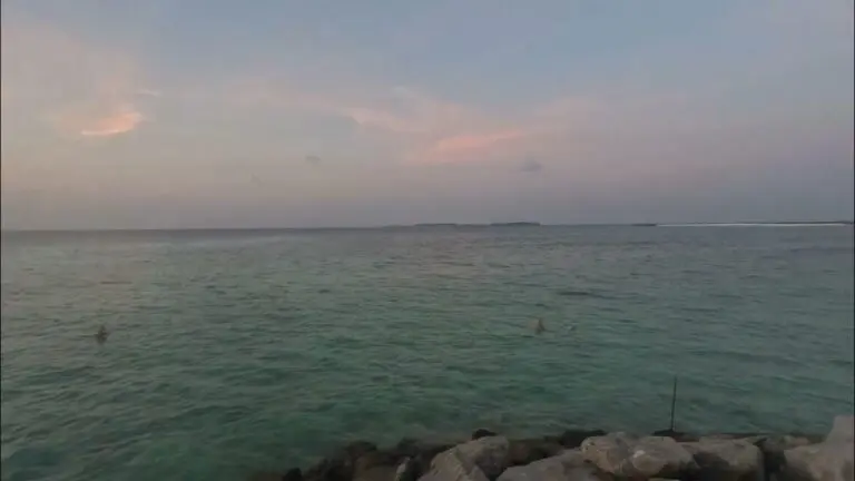 Exploring the Maldives: A Tropical Paradise