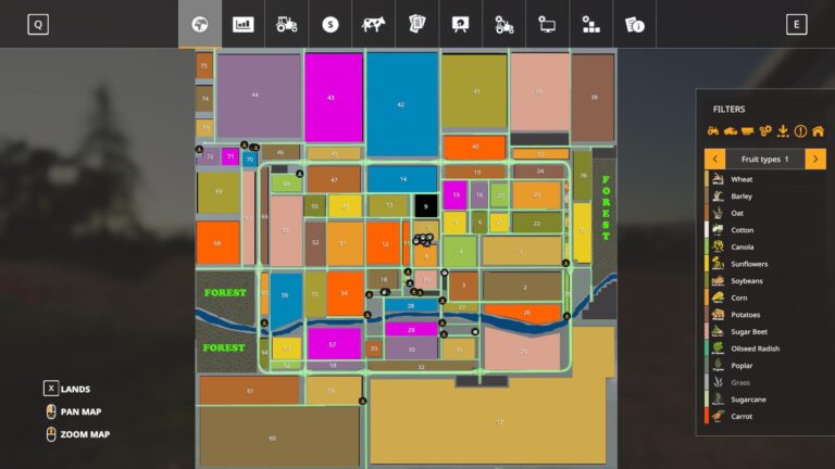 The Role of Maps in Our Everyday Lives