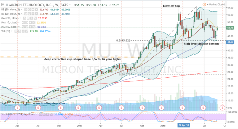 Latest Insights on MU Stock Performance