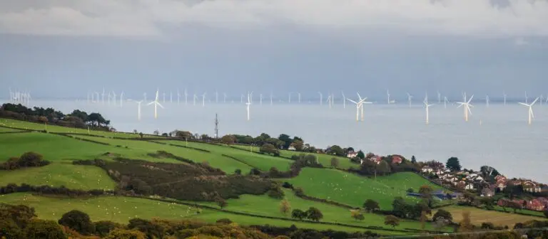 The National Grid: Backbone of Energy Distribution