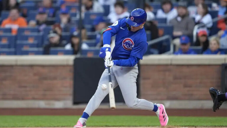 Everything You Need to Know About the PCA Cubs