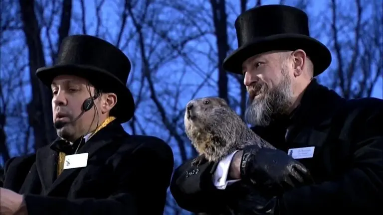 The Significance of Punxsutawney Phil and Groundhog Day