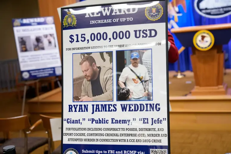 The Joyful Celebration of the Ryan Wedding